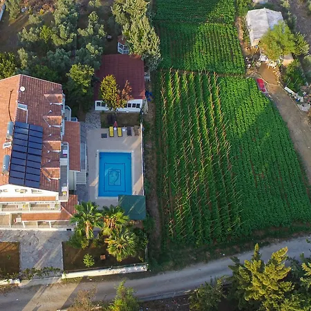 Infinity Ruby פאטהיה