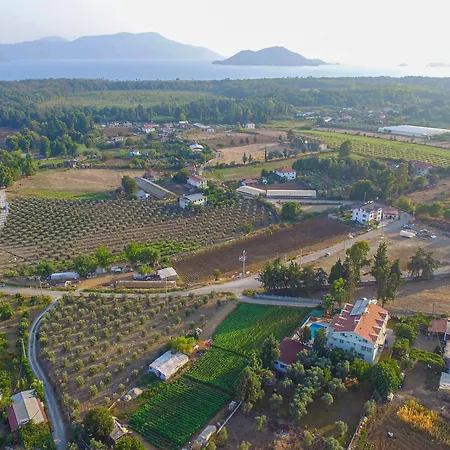 Hotell Infinity Ruby